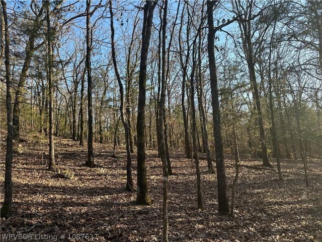Land for sale in Heavener, Oklahoma