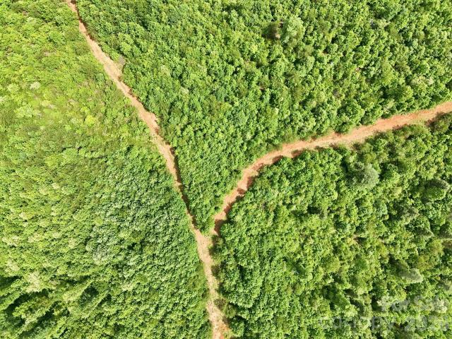 Land for sale in Old Fort, North Carolina