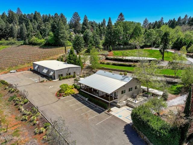 Commercial for sale in Camino