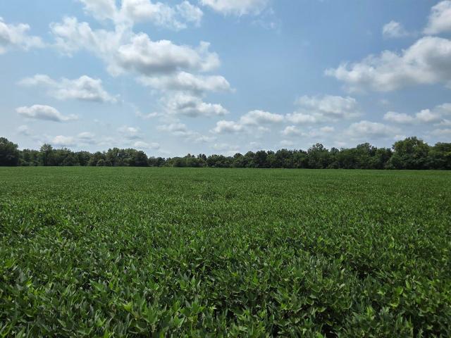 House for sale in Loogootee, Indiana