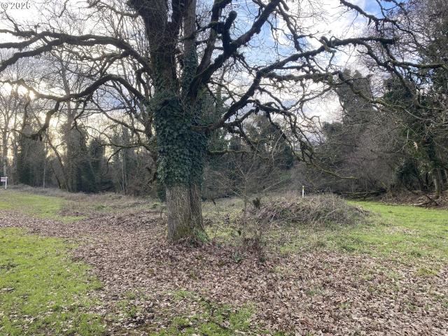 Land for sale in Oregonia