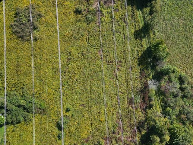 Property for sale in Hastings, New York