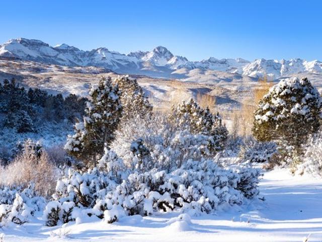 Farm for sale in Ridgway, Colorado