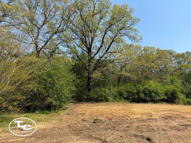 Land for sale in Kennedy, Alabama