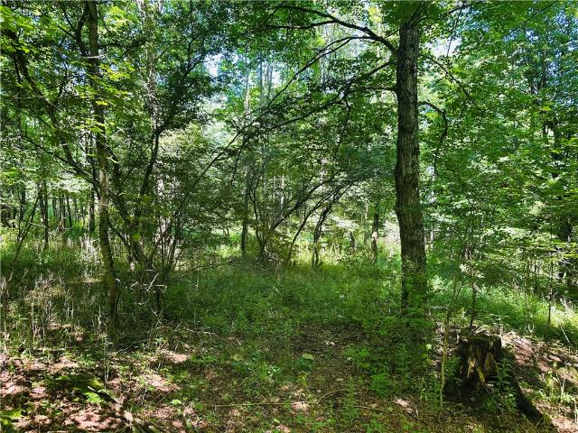Land for sale in Town of Delhi, Delaware County
