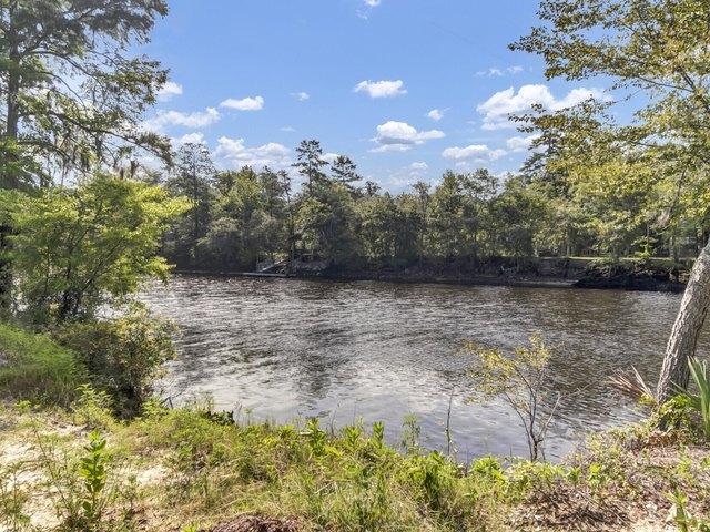Land for sale in Ridgeville, Dorchester County