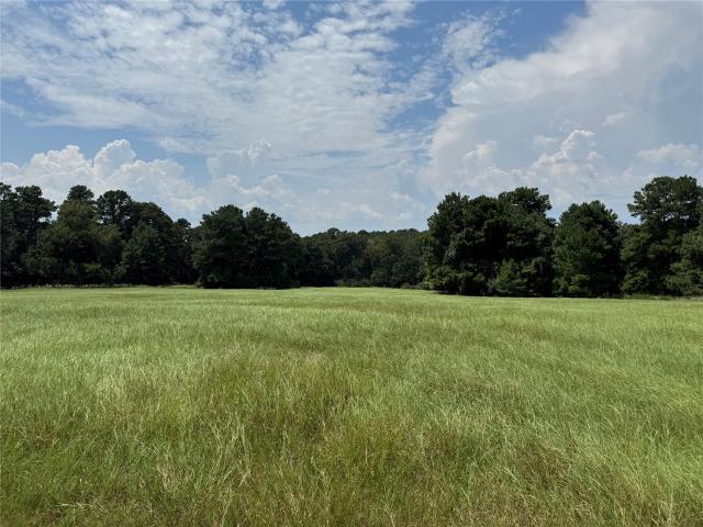 Land for sale in Latexo, Texas