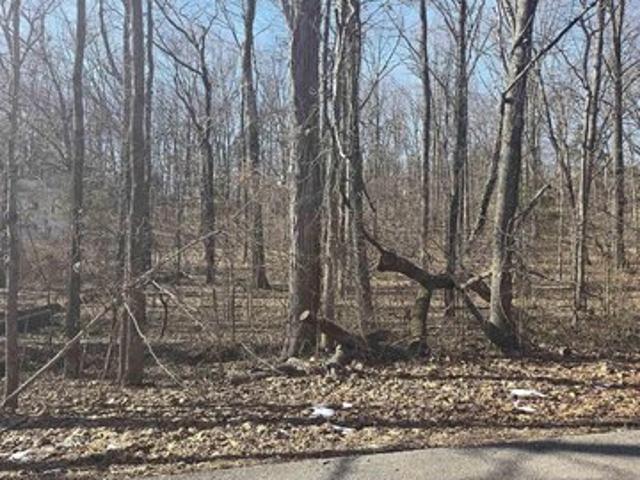 Land for sale in Spencer, Indiana