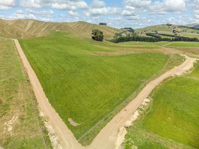 Property for sale in Carterton, Wellington