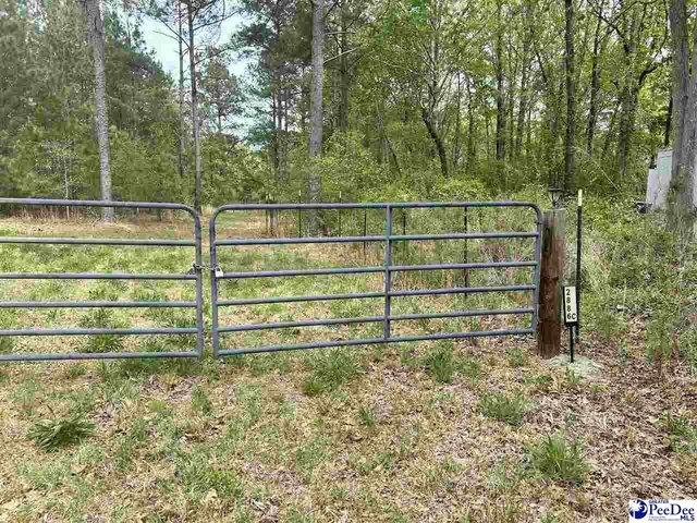 Land for sale in Bethune, South Carolina