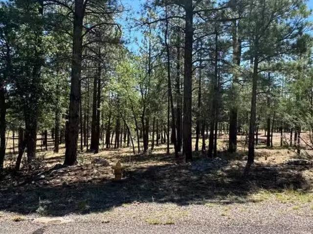 House for sale in Flagstaff