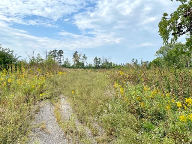 Land for sale in Mundelein Land for sale in Mundelein
