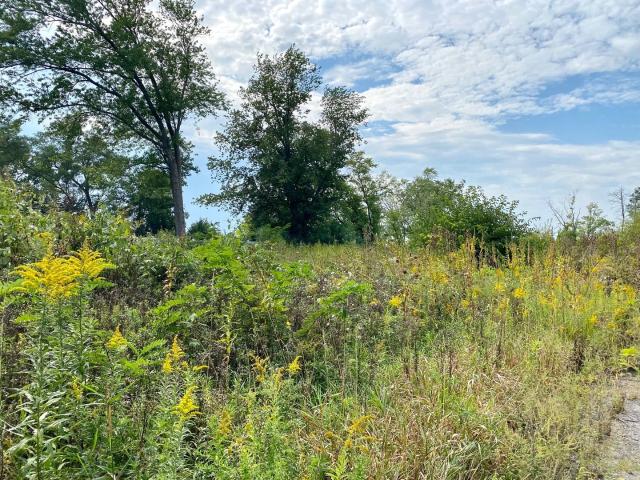 Property for sale in Grayslake, Lake County