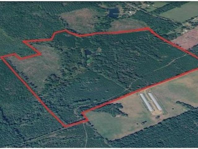 Land for sale in Shelby, Texas