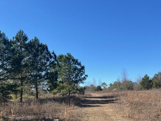 Land for sale in Sneads, Florida
