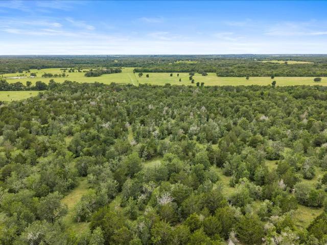 Land for sale in Waelder, Texas