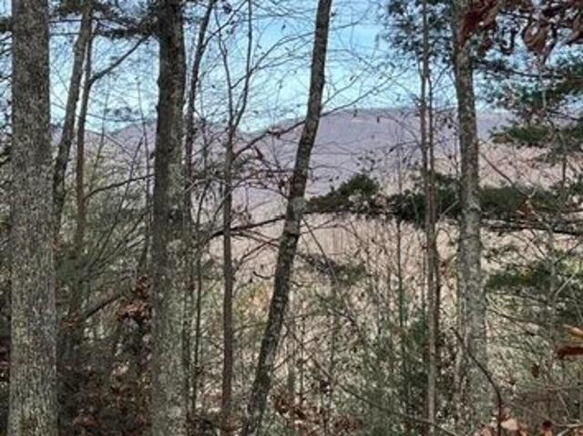 Land for sale in Tennessee