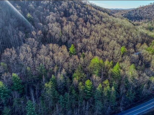 Land for sale in Tennessee