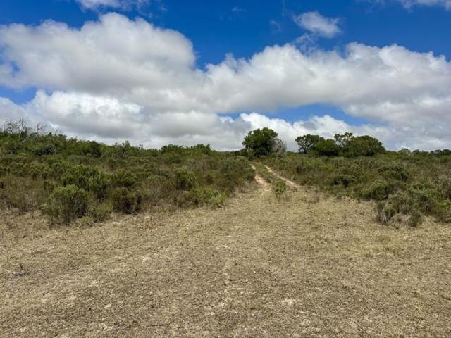 Farm for sale in Groot Brak Rivier, Western Cape