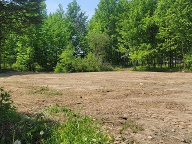 Land for sale in Cambridge, Somerset County