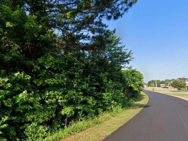 Land for sale in Rogersville, Alabama