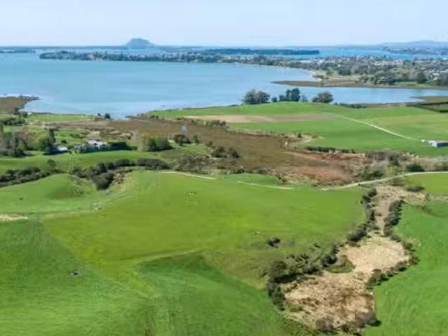 House for sale in Whakamarama, Bay Of Plenty