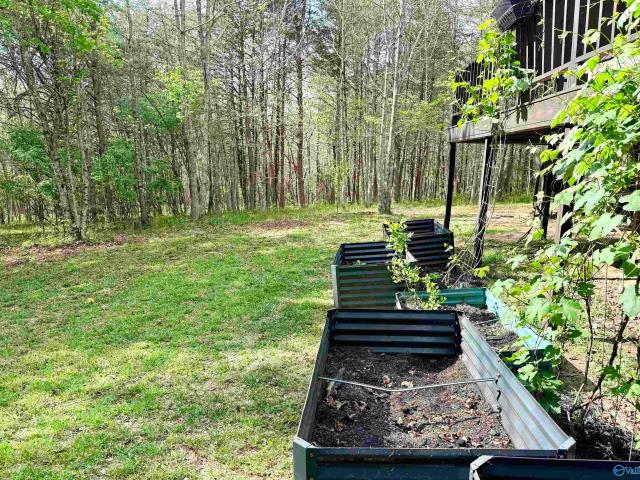 House for sale in Mentone, Alabama