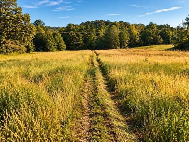 Land for sale in Sylacauga, Talladega County