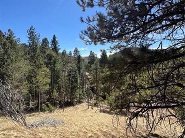 Land for sale in Teller, Colorado
