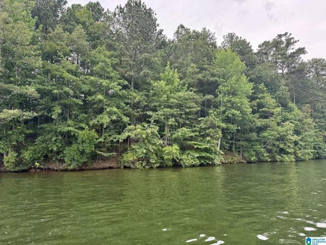Land for sale in Wedowee, Alabama
