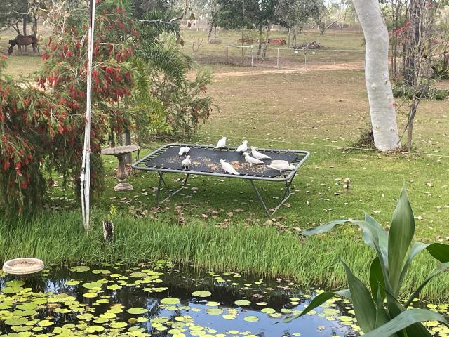 Property for sale in Majors Creek, Queensland