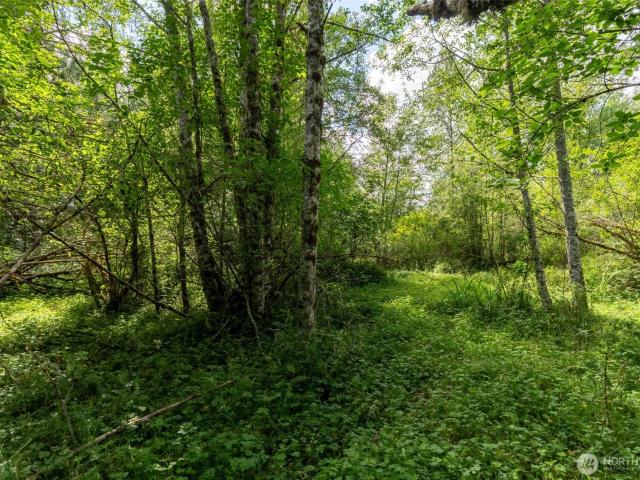 Land for sale in Ashford, Washington