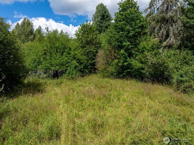 Land for sale in Ashford, Pierce County