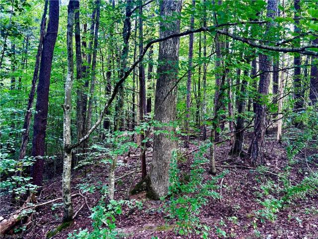 Property for sale in Pfafftown, North Carolina