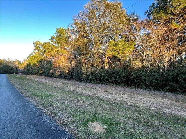Land for sale in Waller, Waller County