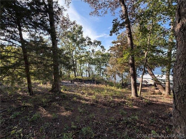 Land for sale in Gravois Mills, Missouri