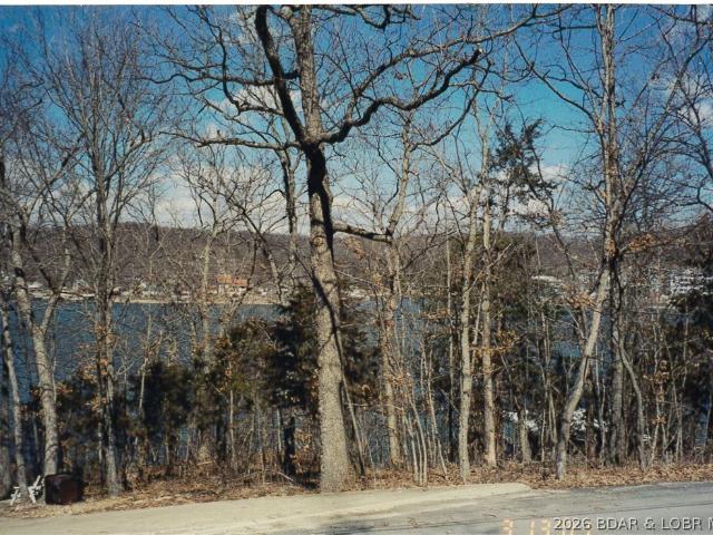 Land for sale in Gravois Mills, Missouri
