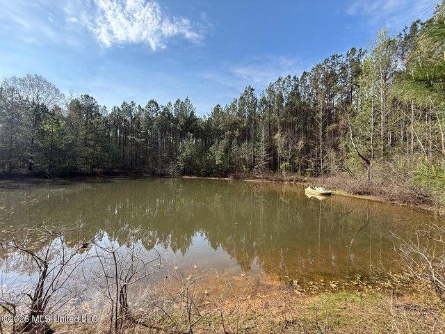 Land for sale in Carthage, Mississippi