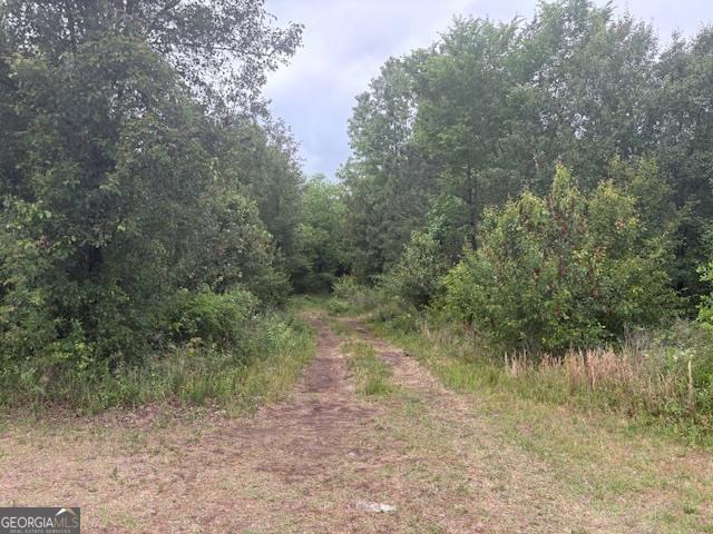 Commercial for sale in Georgia
