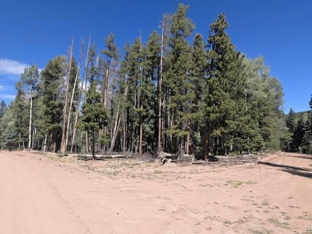 Land for sale in Fort Garland, Costilla County