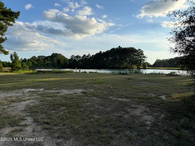 Land for sale in Poplarville, Mississippi