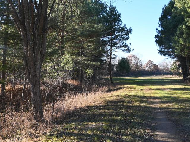 Land for sale in Todd, Minnesota