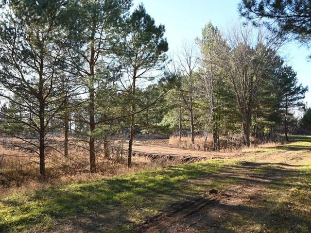 Land for sale in Todd, Minnesota