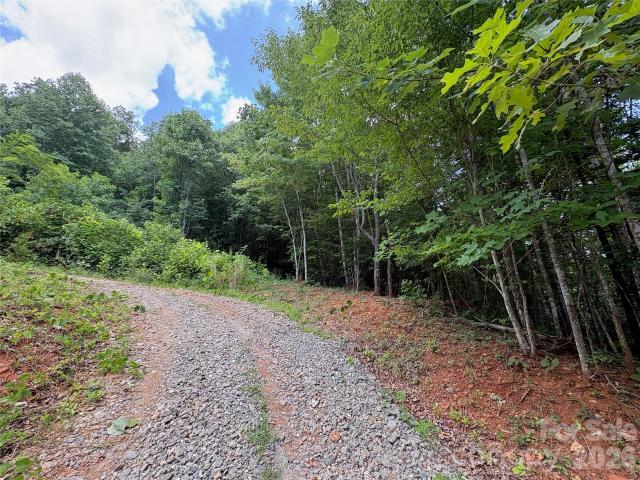 Land for sale in Rutherford, North Carolina