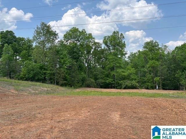 Land for sale in Roanoke, Alabama