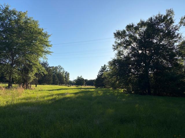 Farm for sale in Oakwood, Texas