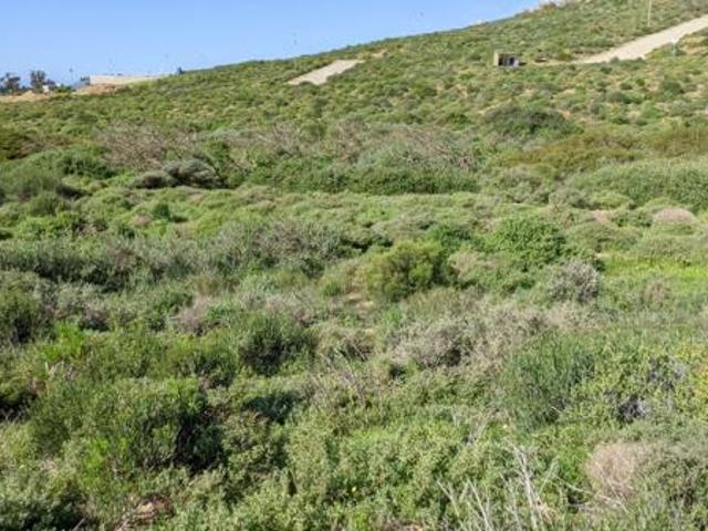 Land for sale in Western Cape