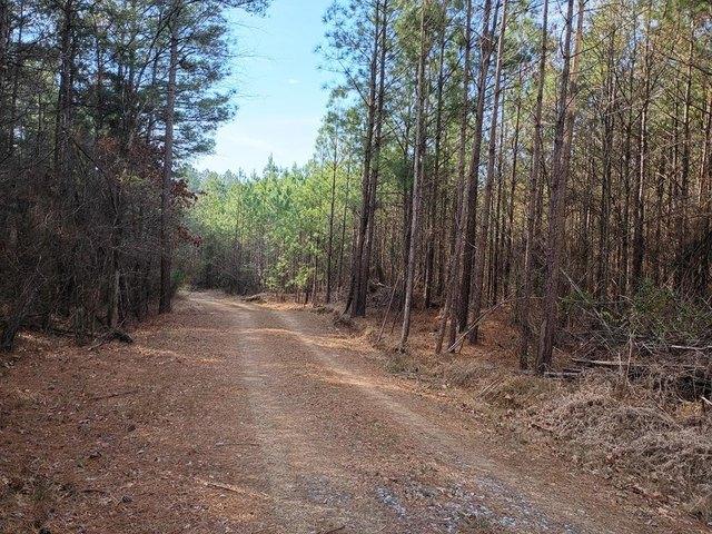 Land for sale in Murray, Georgia