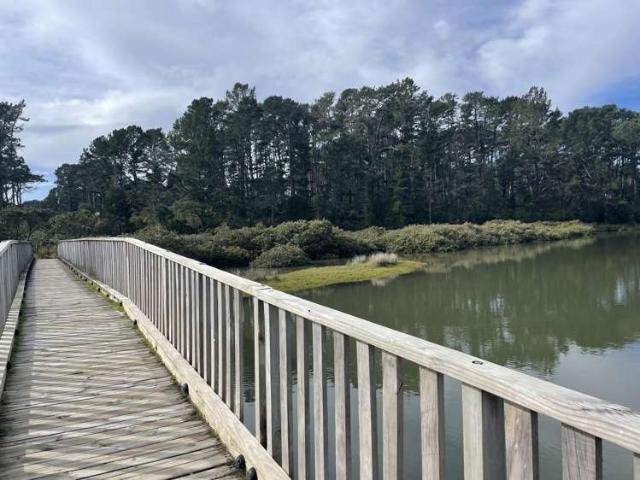 Property for sale in Opoutere, Waikato