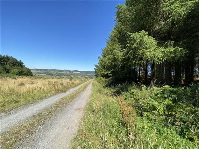 Property for sale in Cashel, South Tipperary
